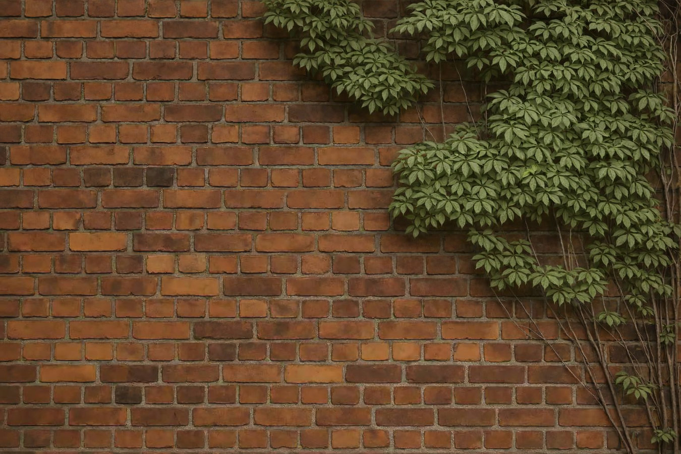 Brick wall installation in Visalia, CA